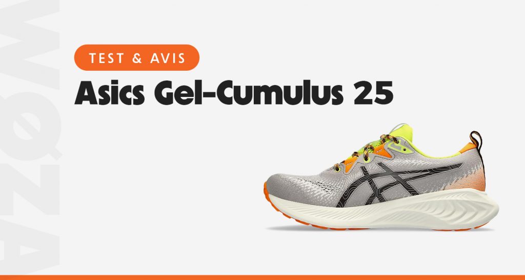 test-avis-Asics-Gel-Cumulus-25