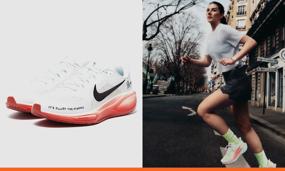 caractéristiques-Nike-Pegasus-41