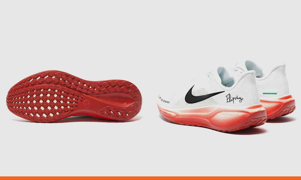 test-Nike-Pegasus-41