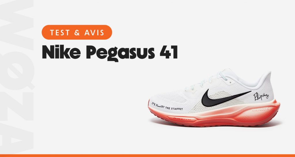 test-avis-Nike-Pegasus-41