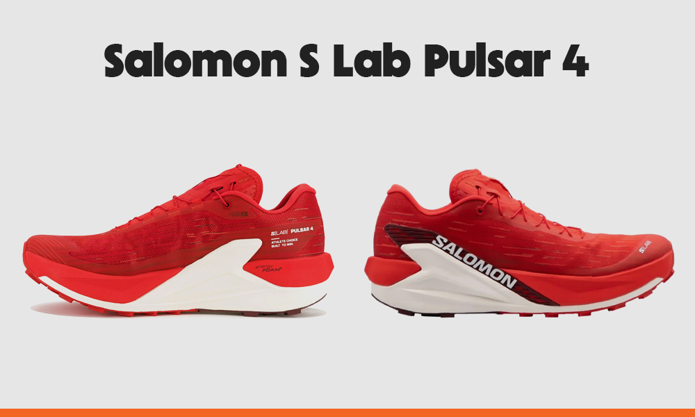 avis-Salomon-S-Lab-Pulsar-4